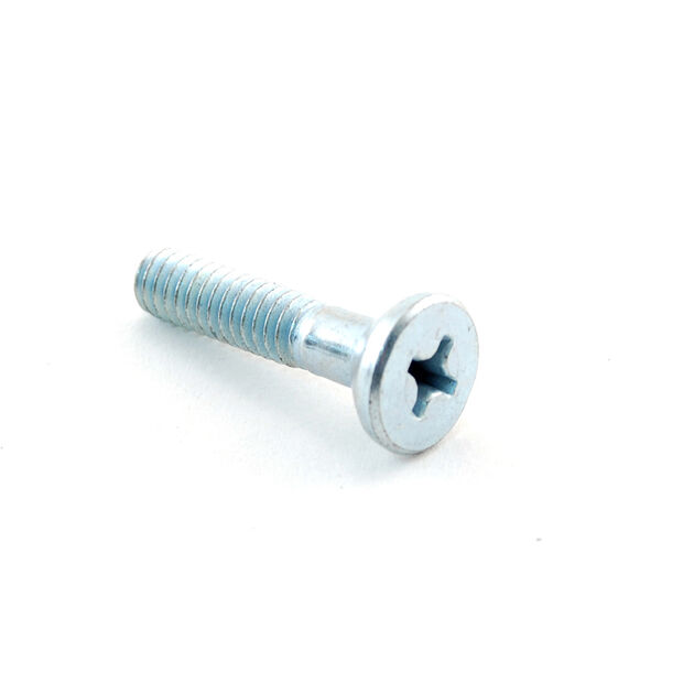 Screw