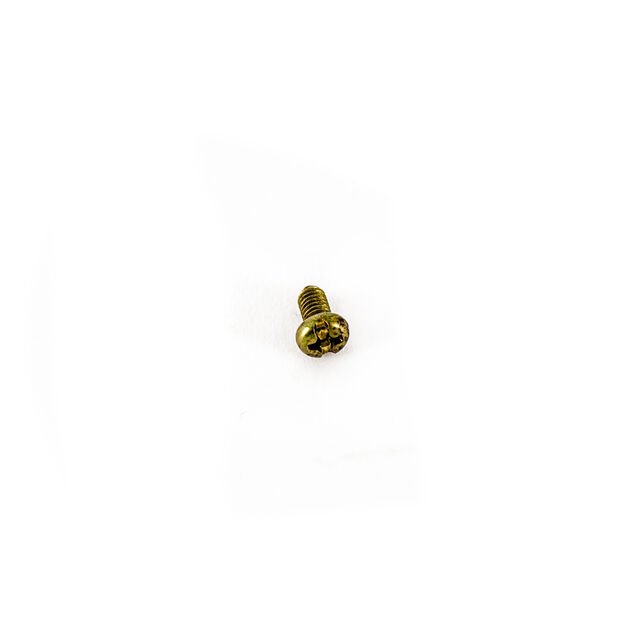 SCREW