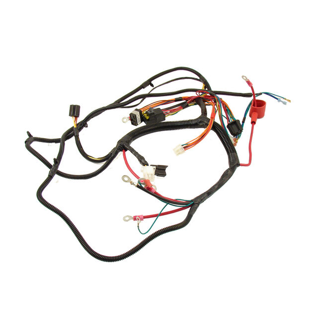 Harness Assembly &#40;Main&#41;