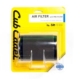 Air Filter with Precleaner