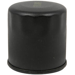 Kawasaki® Oil Filter