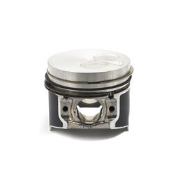 Piston W/Rings Std 