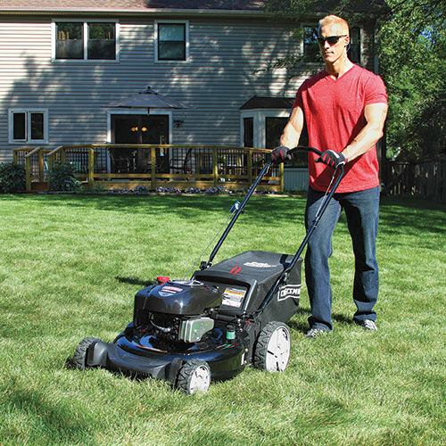 Craftsman Push Lawn Mower Model 11A B25N799