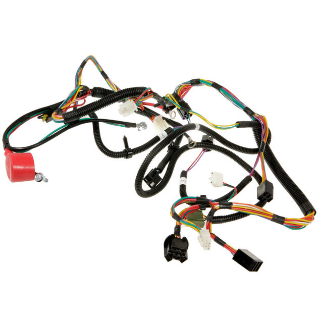 Main Harness