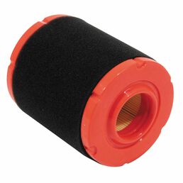 Air Filter with Pre-Cleaner