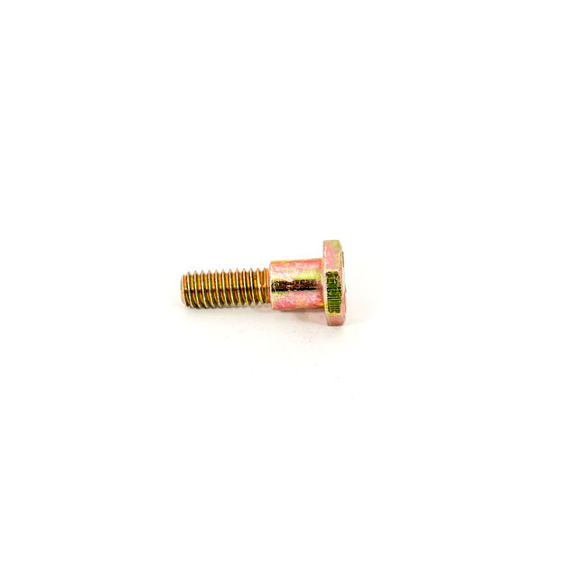 Shoulder Screw