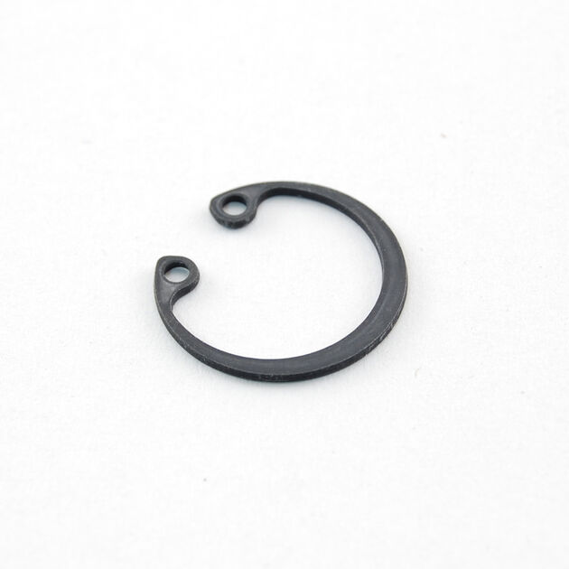 RING-SNAP