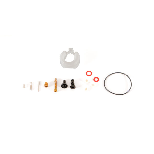 Carburetor Kit &#40;Major&#41;