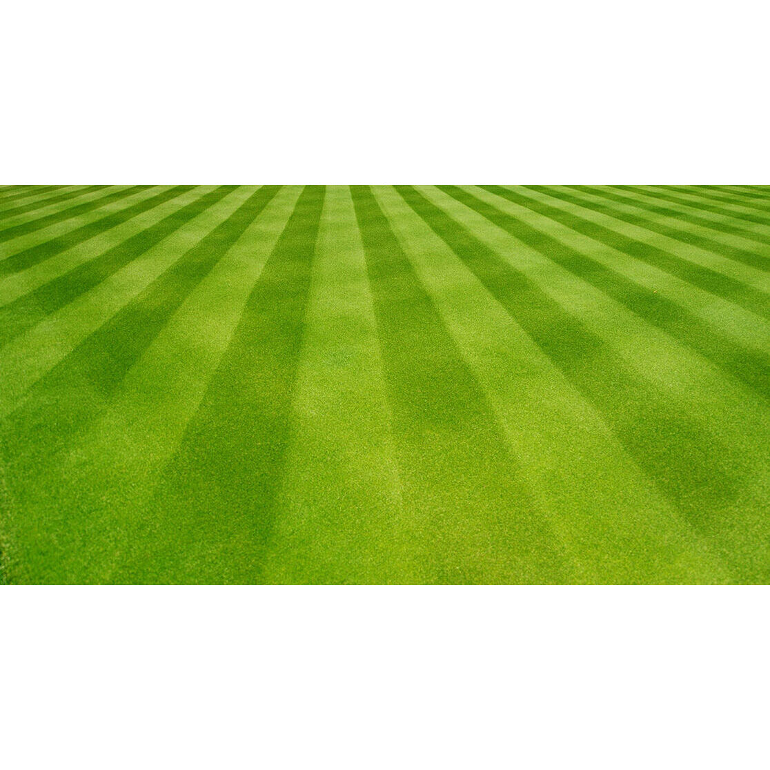 Mower with striping kit online