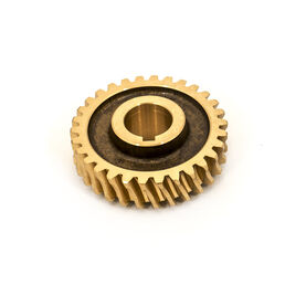 Worm Gear (LH) 30 Teeth