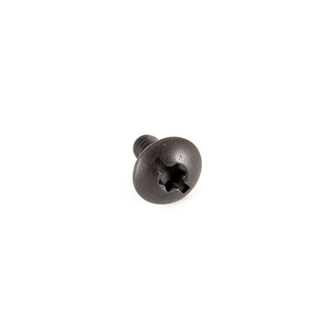 Screw-10 x .393