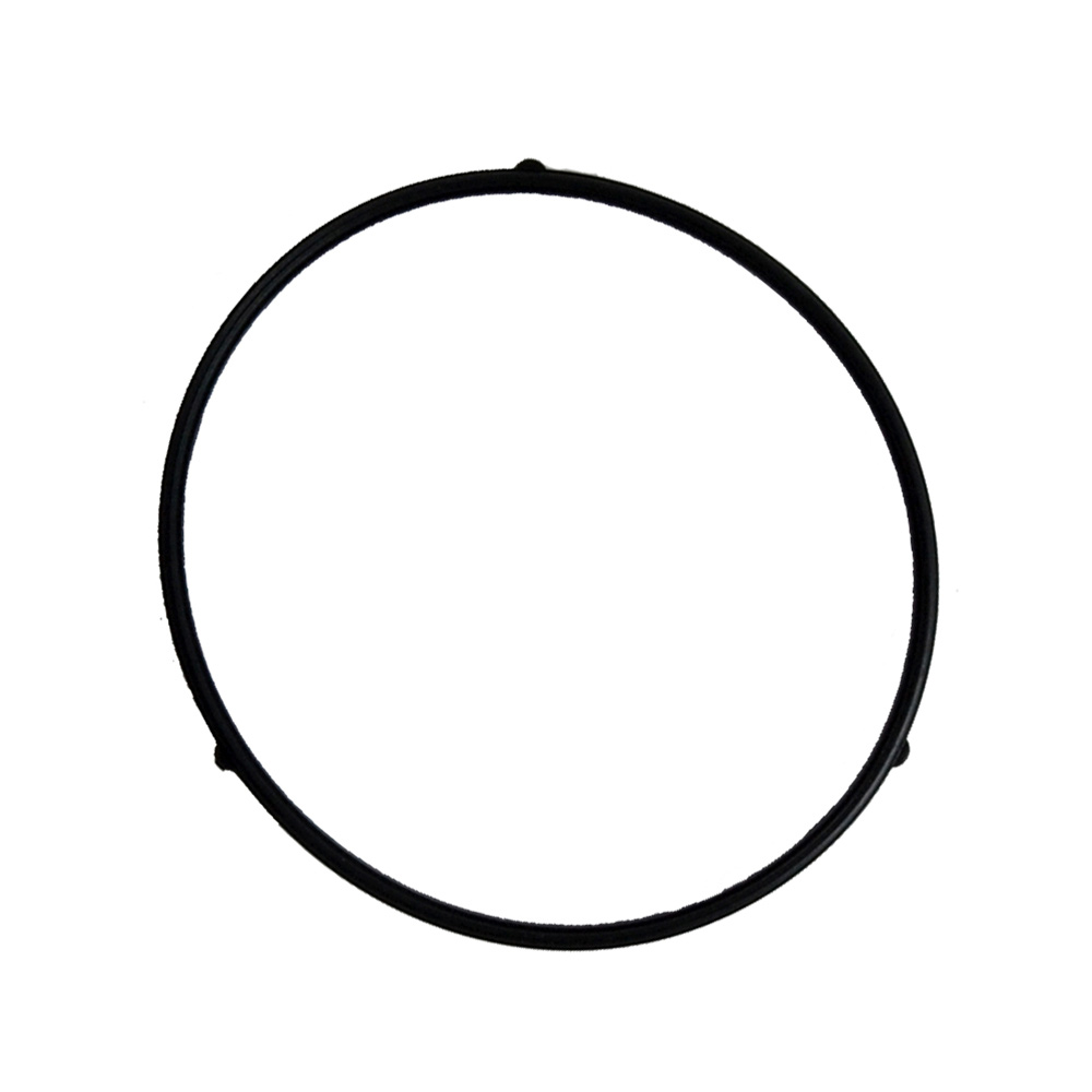 Fuel Bowl ORing 95111589 MTD Parts Canada